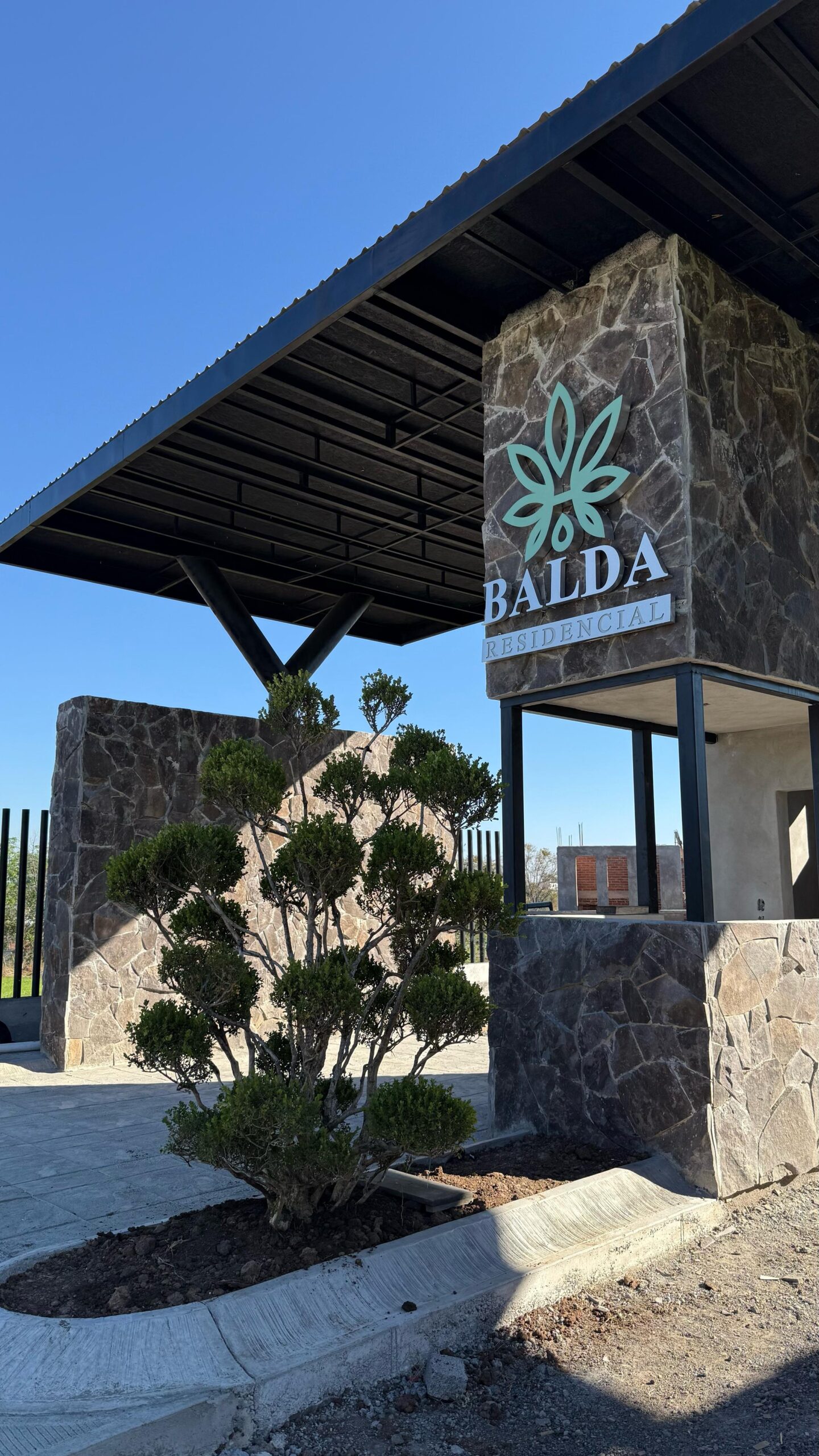 WhatsApp Image 2025-02-17 at 11.09.04 PM